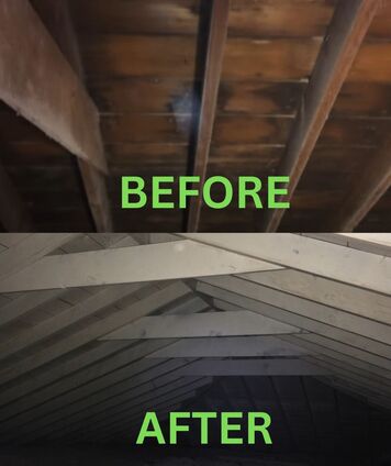 Attic Mold Removal Spokane WA  BEFORE AND AFTER