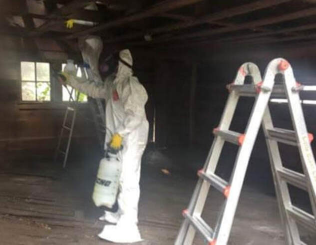 Mold Remediation, Mold Removal
