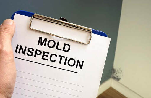 Mold Inspection Services in Spokane
