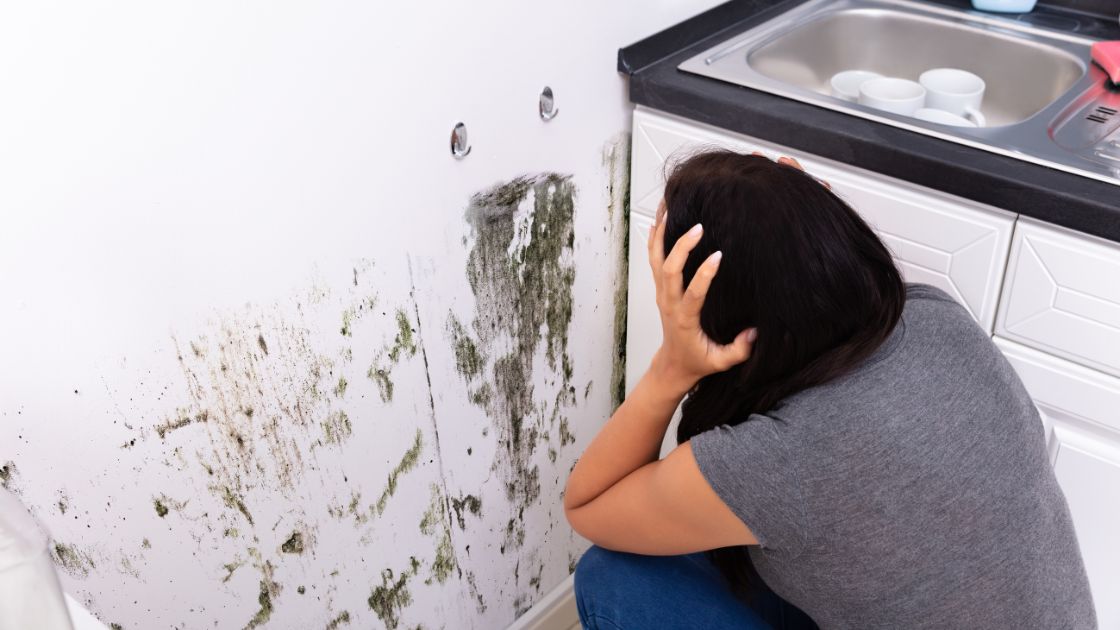 House Mold: Can You Completely Get Rid of It?