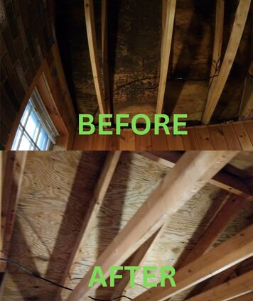 attic mold before and after remediation