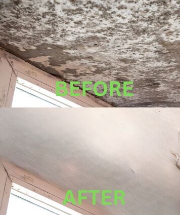 ceiling with mold before and after